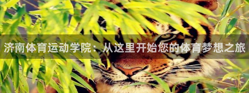 3377体育官网下载招商电话号码查询是多少：济南体育运动学院
