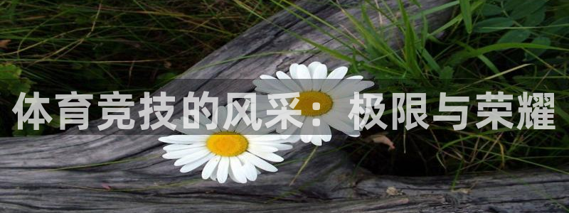 3377体育官方正版app集团E.ON：体育竞技的风