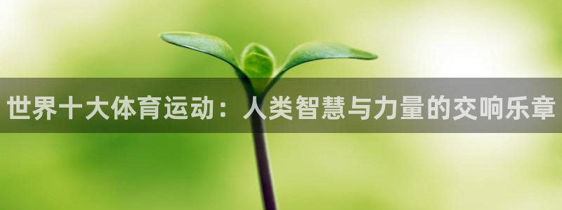 3377体育官网下载注册：世界十大体育运动：人类智慧
