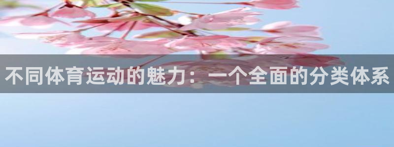 3377体育官方正版app集团官网网址：不同体育运动