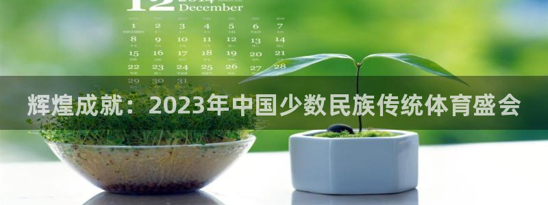 3377体育官方正版app娱乐代理怎么样：辉煌成就：