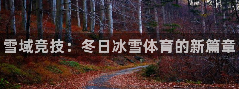3377体育官方正版app五金厂：雪域竞技：冬日冰雪体育的新