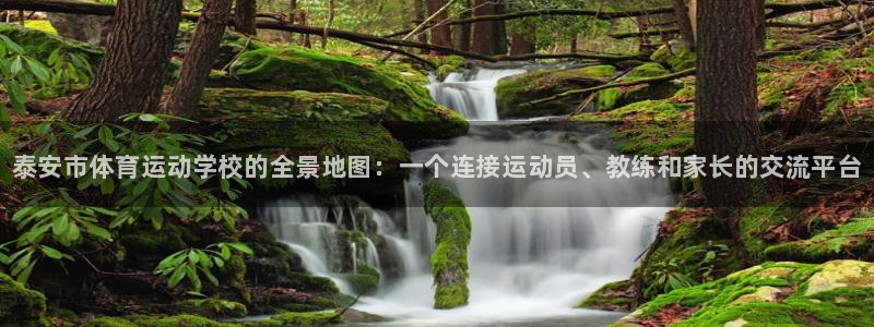 3377体育官网下载平台注册流程图：泰安市体育运动学