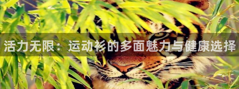 3377体育官方正版app娱乐下载：活力无限：运动衫的多面魅