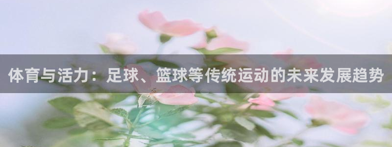 3377体育官网下载招商电话号码：体育与活力：足球、篮球等传