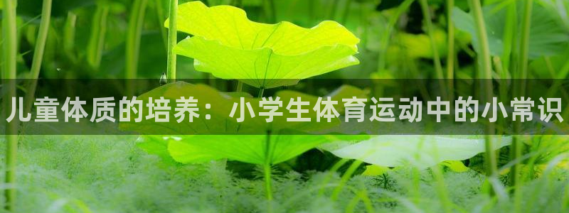 3377体育官网下载招商电话号码是多少号：儿童体质的培养：小