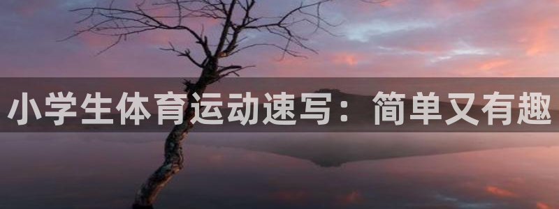 3377体育官方正版app集团简介：小学生体育运动速