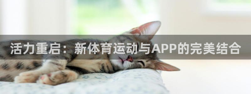 3377体育官网下载是干嘛的公司：活力重启：新体育运