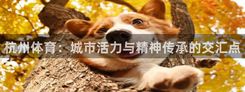 3377体育官网下载招商电话号码是多少啊：杭州体育：