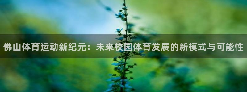 3377体育官网下载招商电话地址：佛山体育运动新纪元