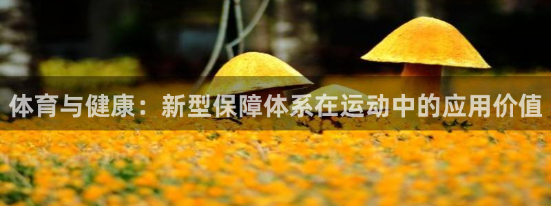 3377体育官方正版app娱乐40996：体育与健康