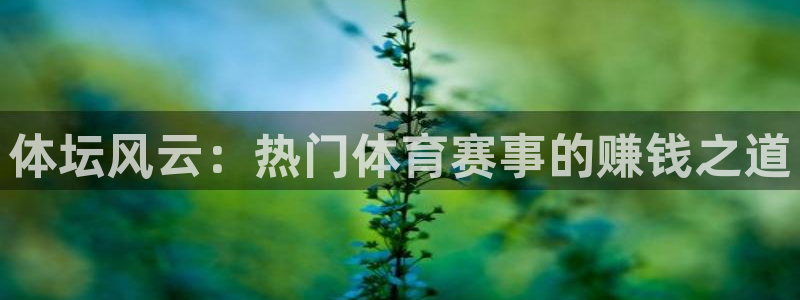 3377体育官网下载平台：体坛风云：热门体育赛事的赚