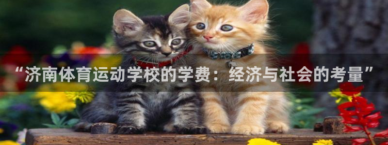 3377体育官网下载平台注册流程视频：“济南体育运动