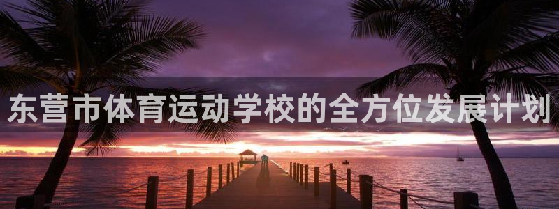 3377体育官网下载是干嘛的公司：东营市体育运动学校的全方位