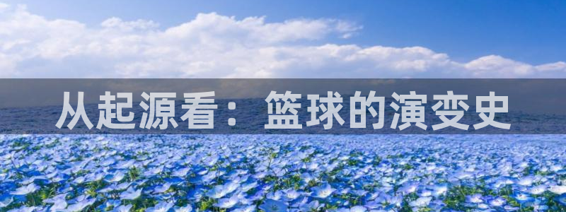 3377体育官方正版app娱乐是那个系列的台子：从起源看：篮