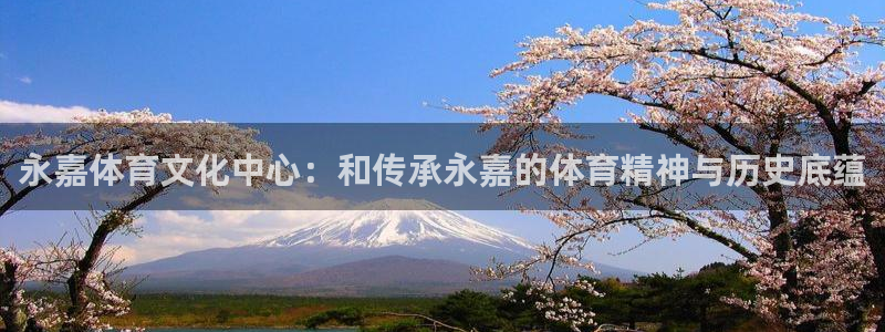 3377体育官网下载软件：永嘉体育文化中心：和传承永嘉的体育