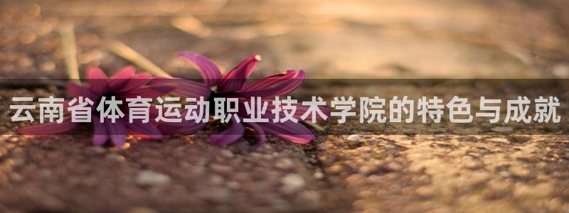 3377体育官网下载平台注册：云南省体育运动职业技术