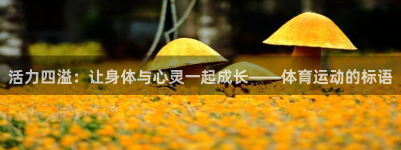 3377体育官方正版app官网：活力四溢：让身体与心灵一起成