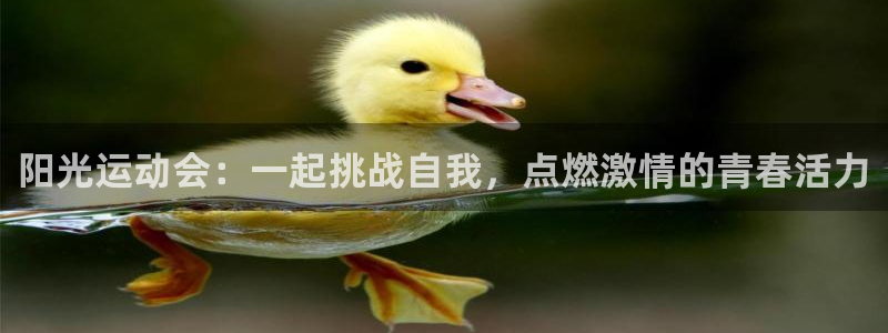 3377体育官方正版app集团E.ON：阳光运动会：