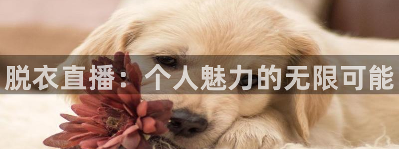 火凤体育免费直播入口