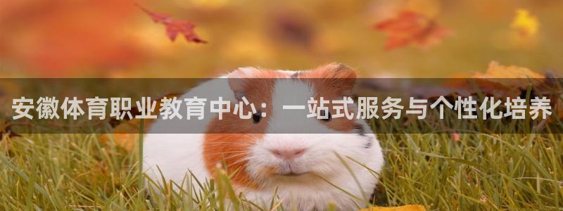 3377体育最厉害三个平台