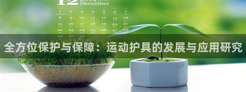 3377体育可信吗：全方位保护与保障