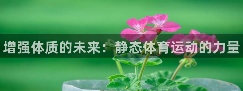 3377体育手机平台：增强体质的未来：静态体育运动的力量