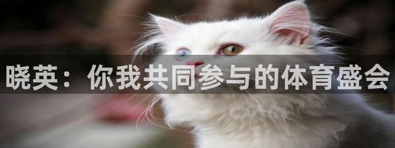 3377体育被国家取消了吗今天：晓英