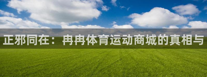 3377体育app倒闭了吗知乎：正邪同在：冉冉体育运动商城的