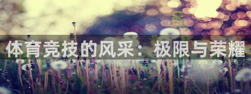 3377体育可信吗：体育竞技的风采：