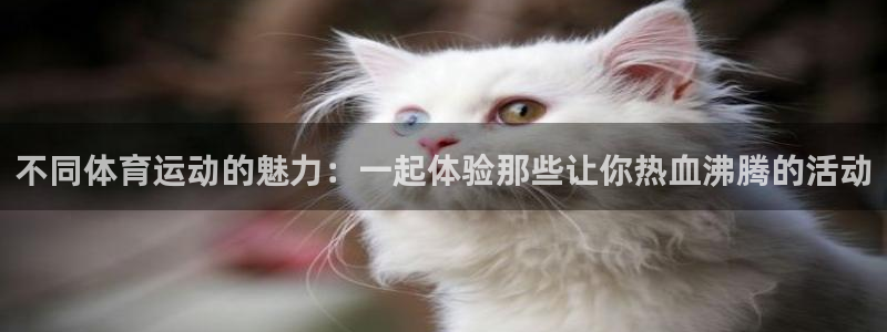 3377体育为什么提不出来：不同体育