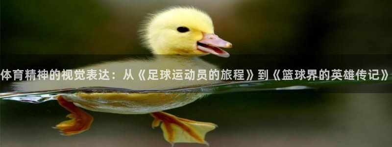 3377体育app倒闭了吗知乎：体育