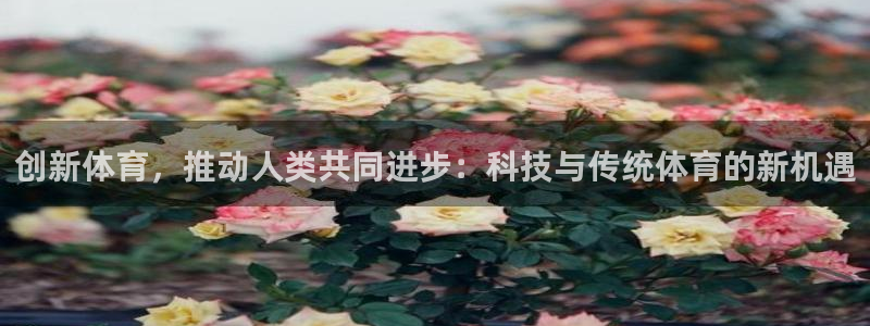 3377体育是正规平台吗：创新体育，