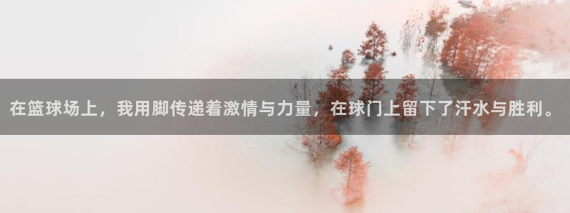 3377体育官网下载：在篮球场上，我用脚传递着激情与力量，在