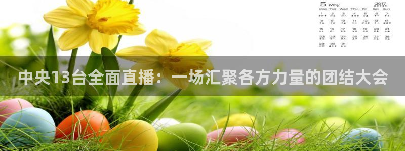 火凤足球直播：中央13台全面直播：一场汇聚各方力量的团结大会