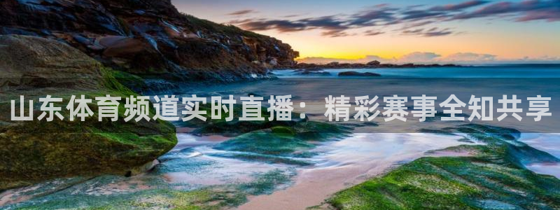 火凤直播体育app下载安装：山东体育频道实时直播：精彩赛事全知共享